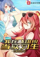 I am an intern at Xiao Organization